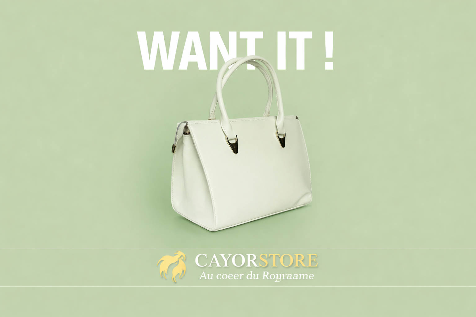 CayorStore promo